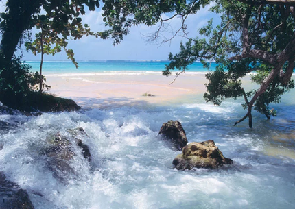 Coastline Snorkeling With Laughing Waters Falls & Beach